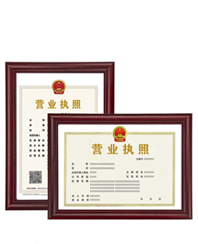营业执照正副本 营业执照正副本